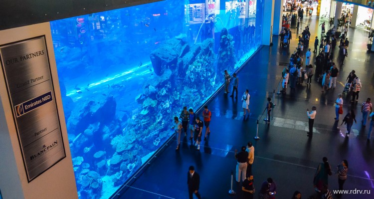 Люди у гигантского аквариума в Dubai Mall