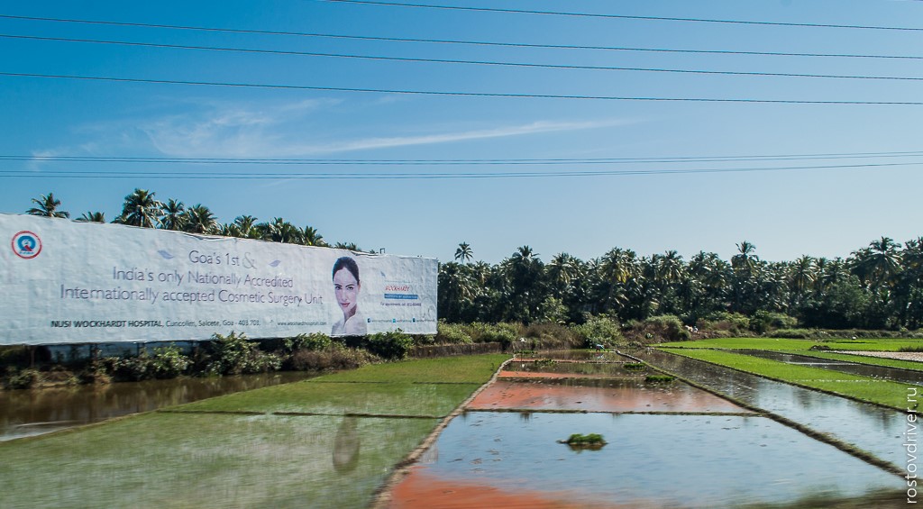 Рекламный щит на рисовых полях