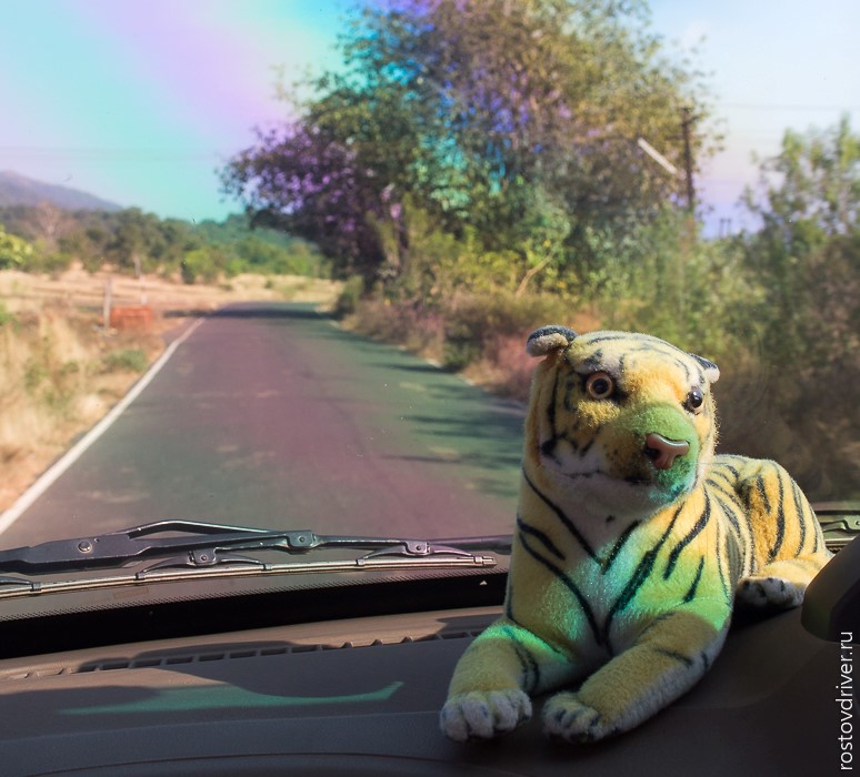 Тигр на панели Mahindra Xylo
