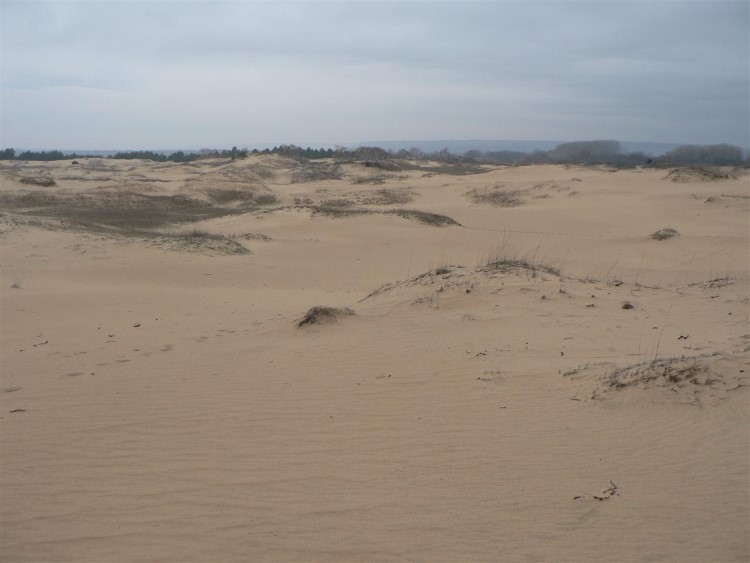 Бескрайние пески в окрестностях Донецка