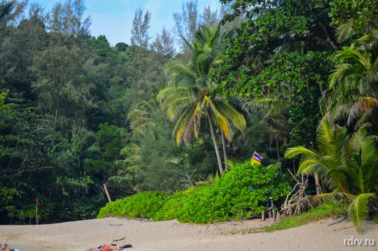 Джунгли на пляже Банана в Таиланде