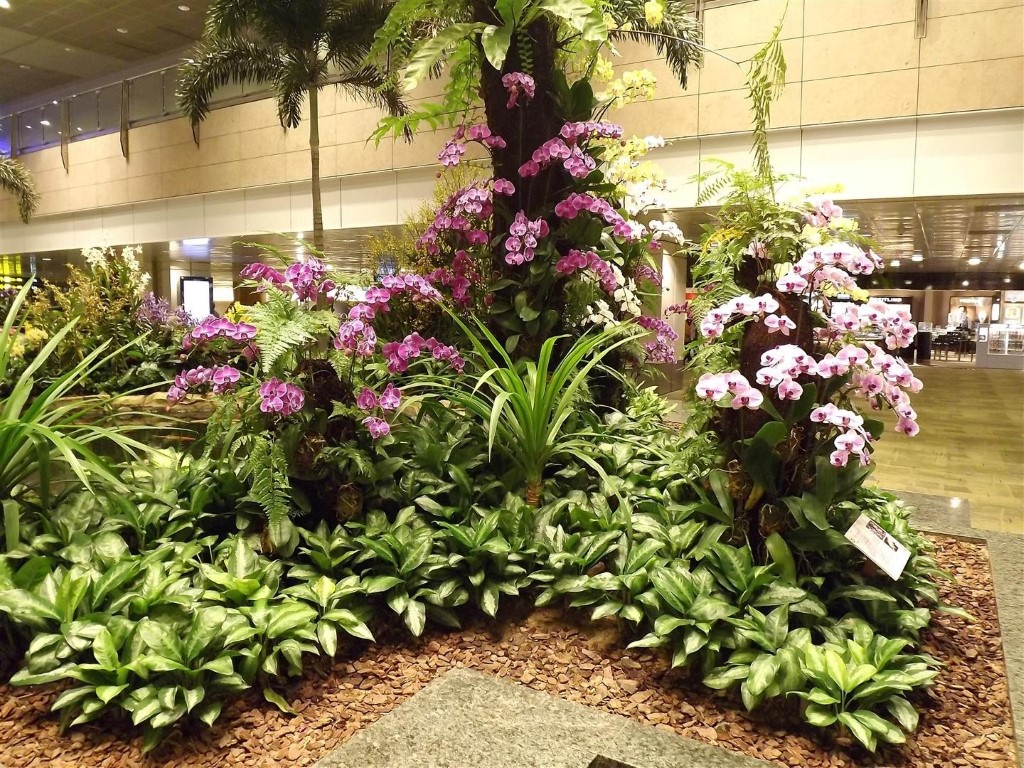 Сад орхидей в аэропорту Сингапура