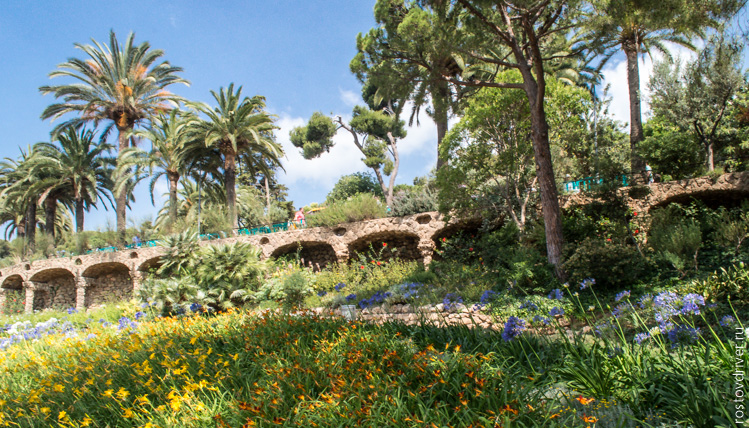 Цветы и зелень парка Гуэль