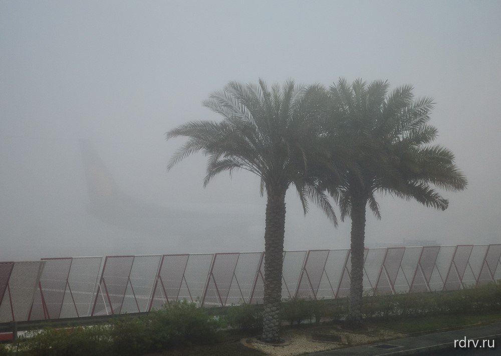 Туман в аэропорту Абу Даби