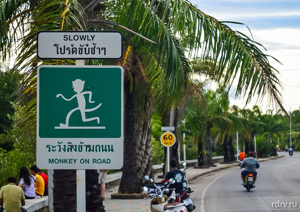 Дорожный знак обезьяны