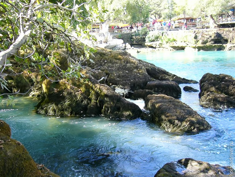 Камни покрытые водорослями в горной реке